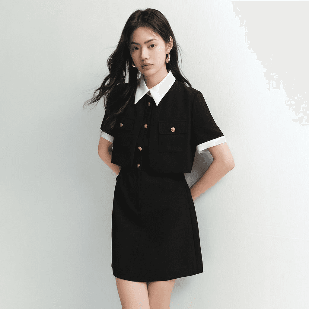 Peacebird Two-in-One Tweed Dress Black