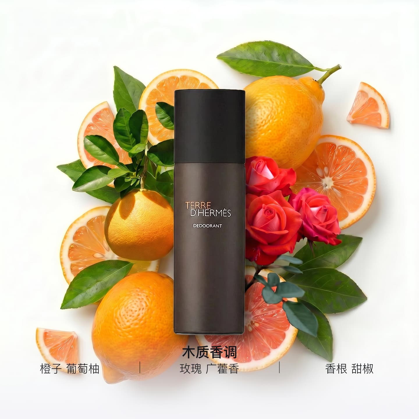 Hermes Terre d'Hermes Deodorant Stick