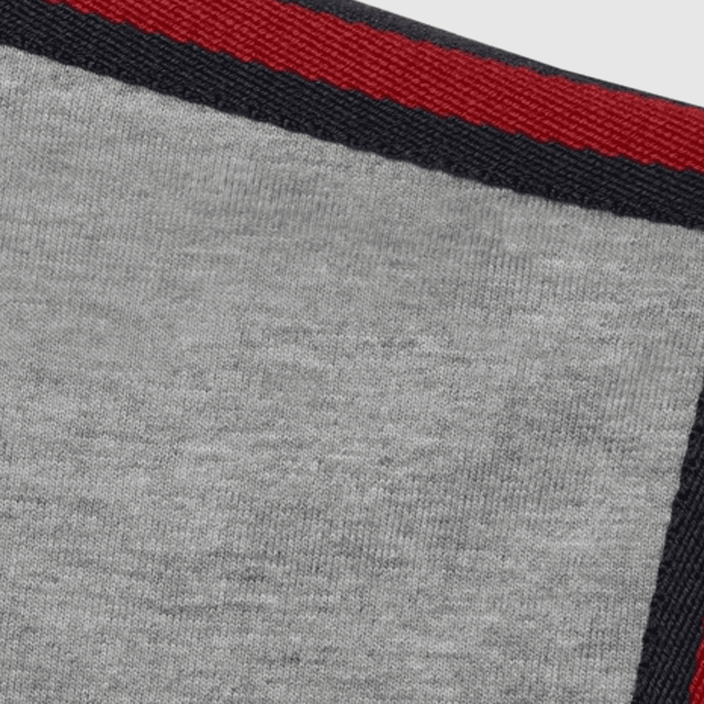 GUCCI FW23 Striped Crewneck Tee Gray