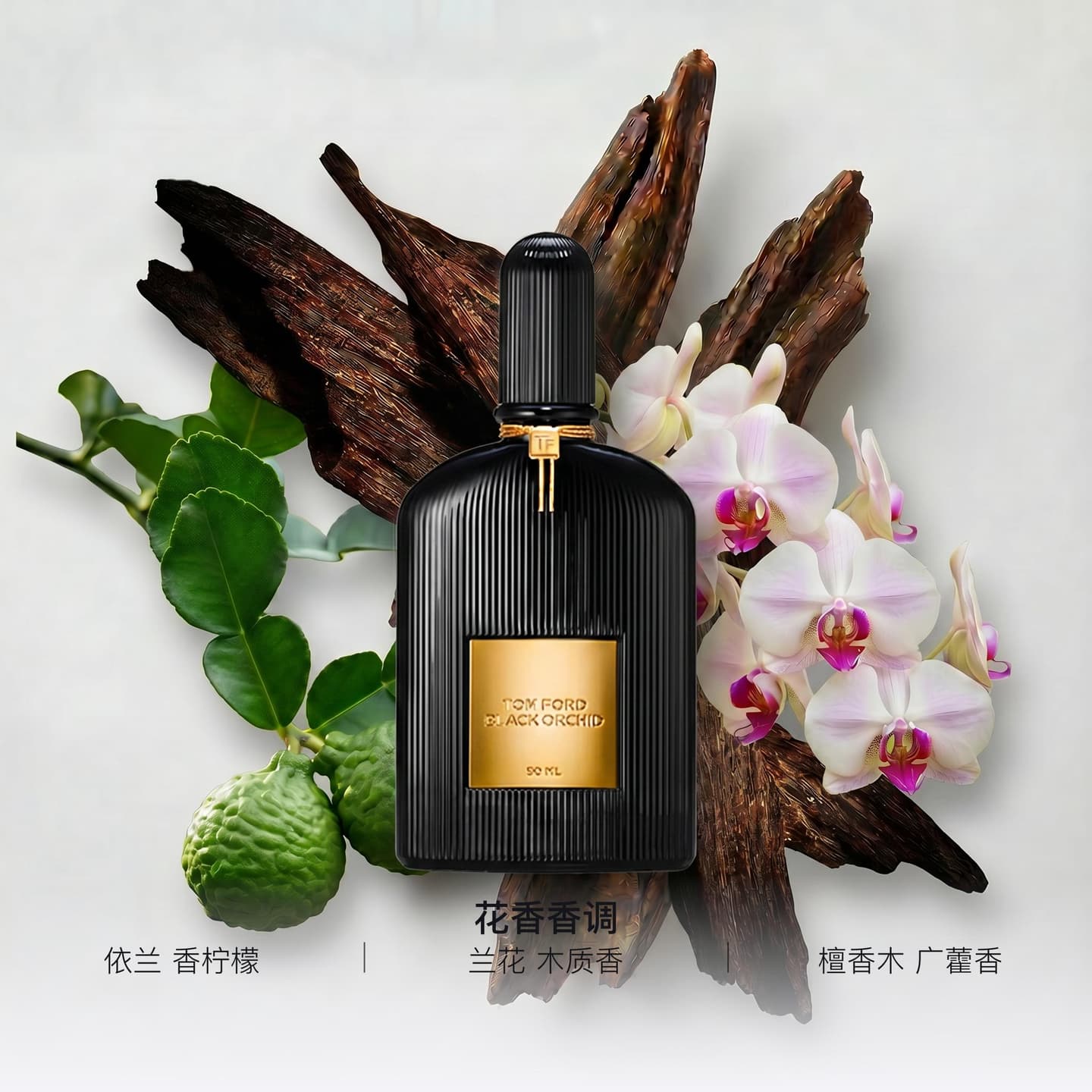 Tom Ford Noir Orchid EDP