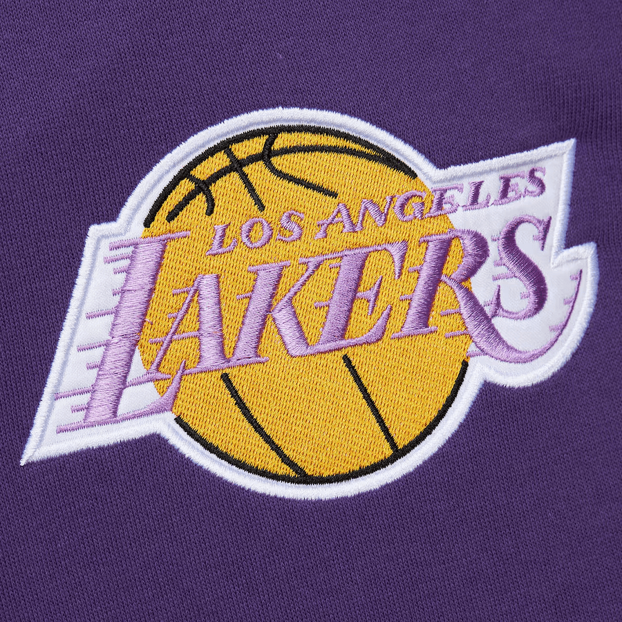 Mitchell & Ness Ervin Johnson Purple Hoodie