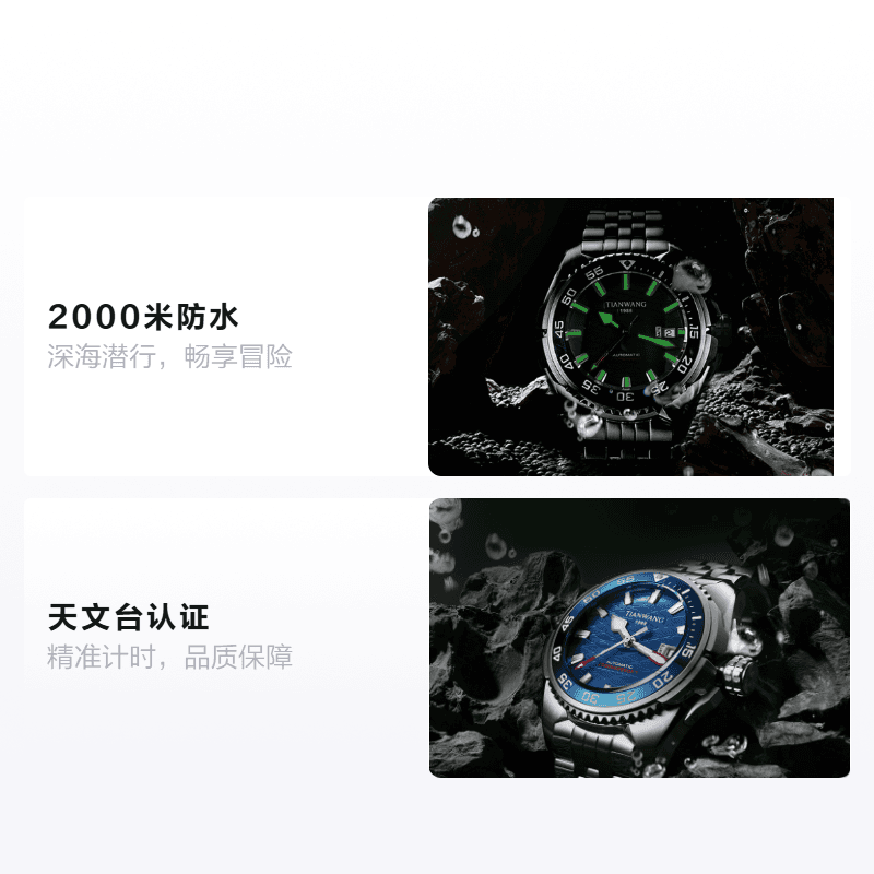 TIANWANG 2000 2001181