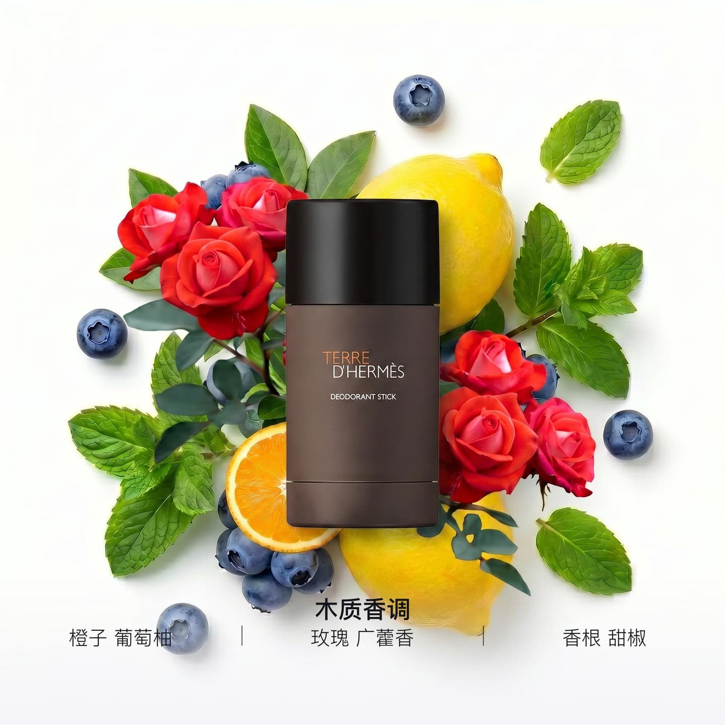 Hermes Terre d'Hermes Deodorant Stick