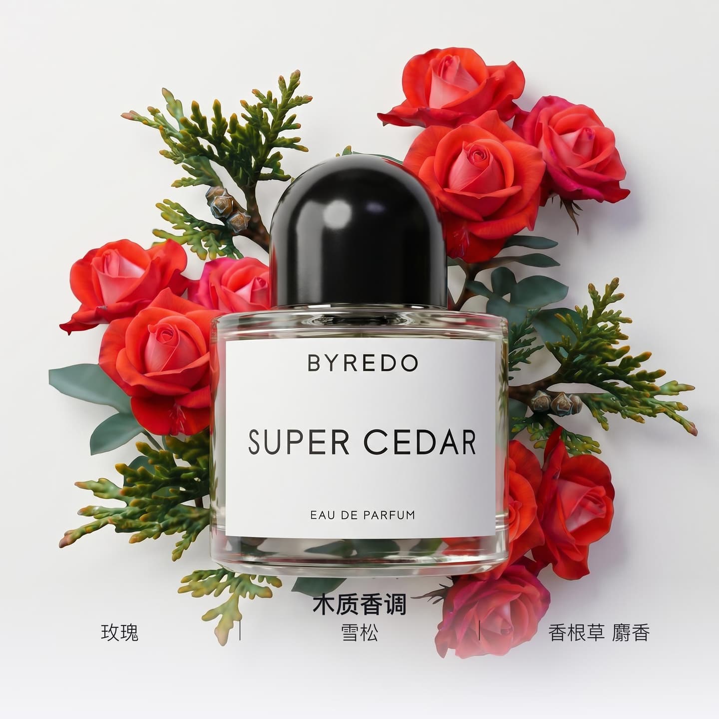 BYREDO Super Cedar