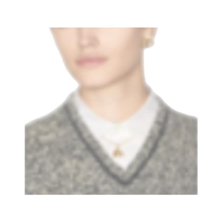 Dior Earrings