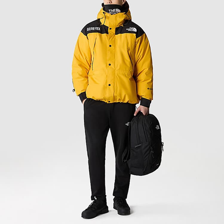 The North Face GTX Mountain Jacket