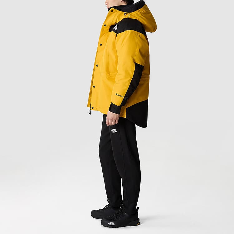 The North Face GTX Mountain Jacket