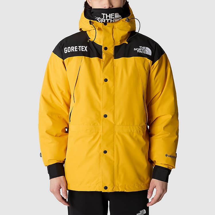 The North Face GTX Mountain Jacket