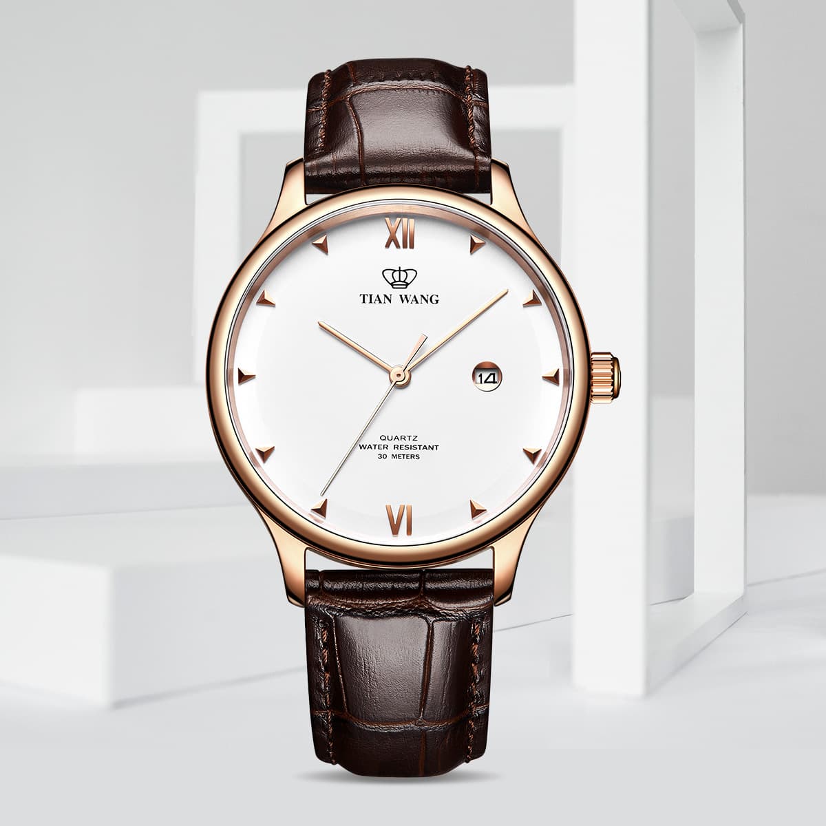 TIANWANG GSLS31132