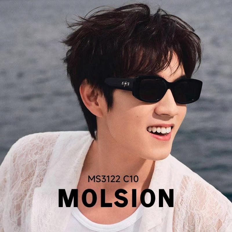 MOLSION