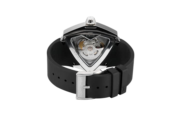 Hamilton H24655331