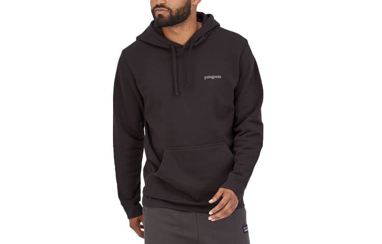 Patagonia Fitz Roy Logo Hoodie