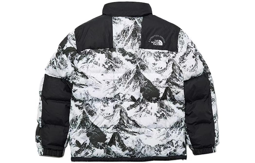 The North Face FW22 Down Jacket Black