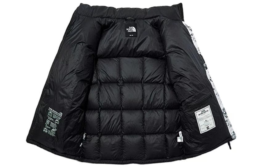 The North Face FW22 Down Jacket Black