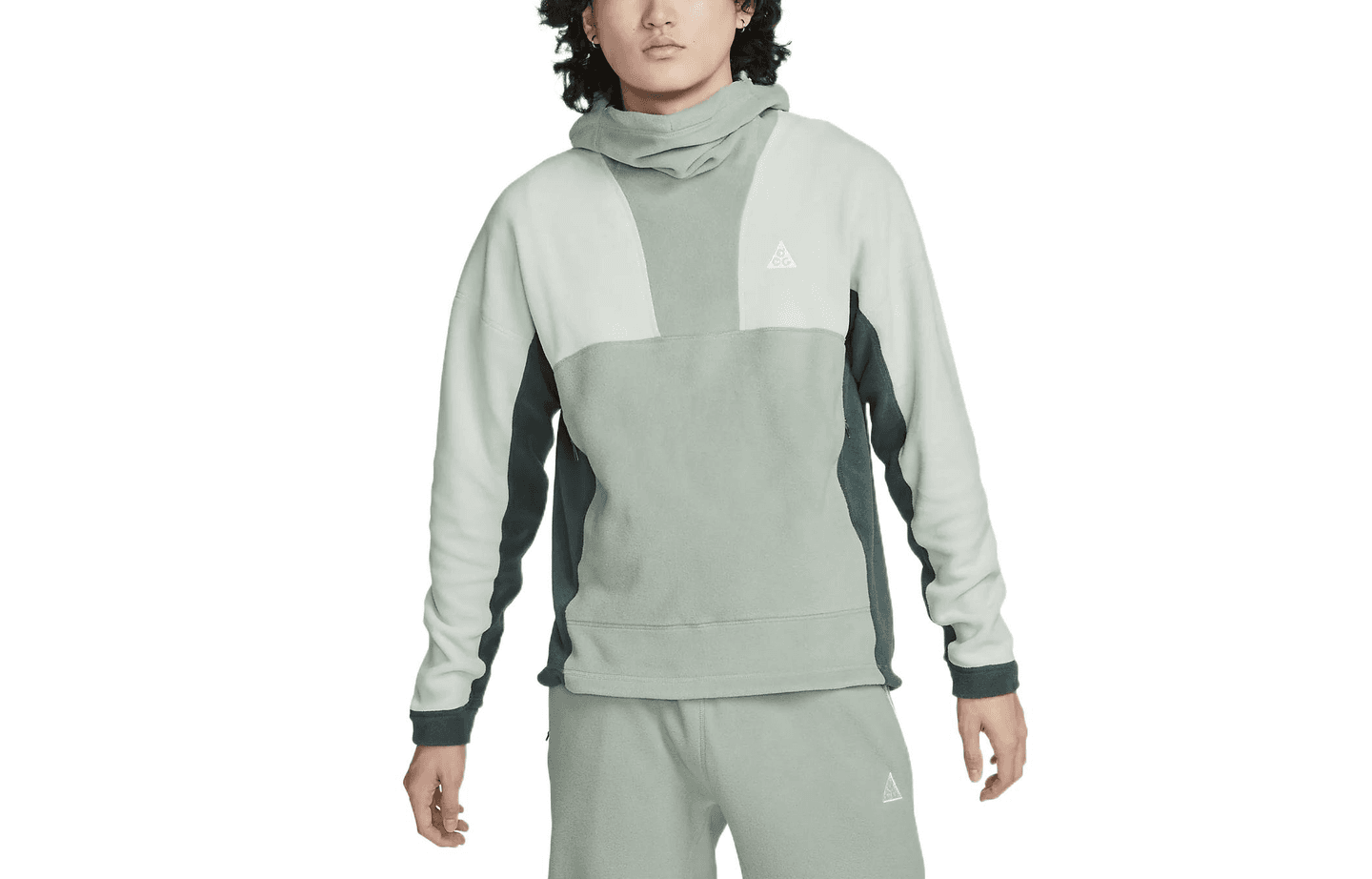 Nike ACG "Wolf Tree" Hoodie