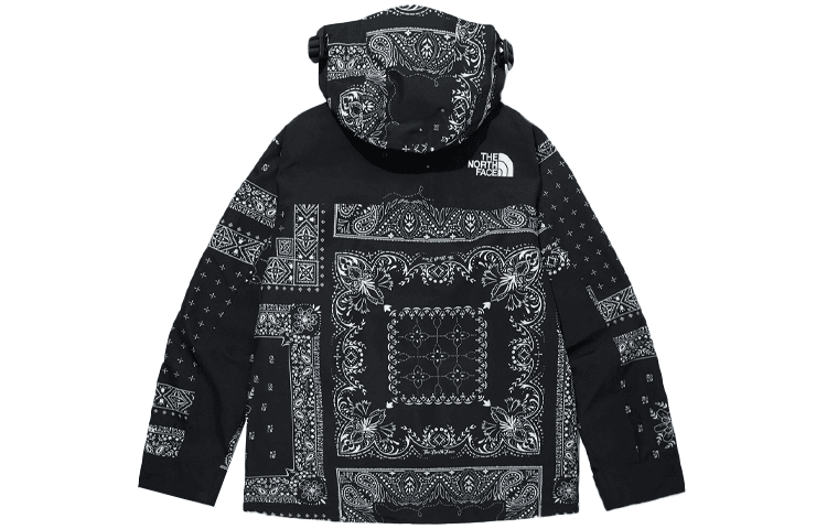 The North Face Novelty Gtx Mountain Jacket 1990 Black