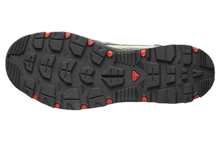 Salomon Techamphibian 5