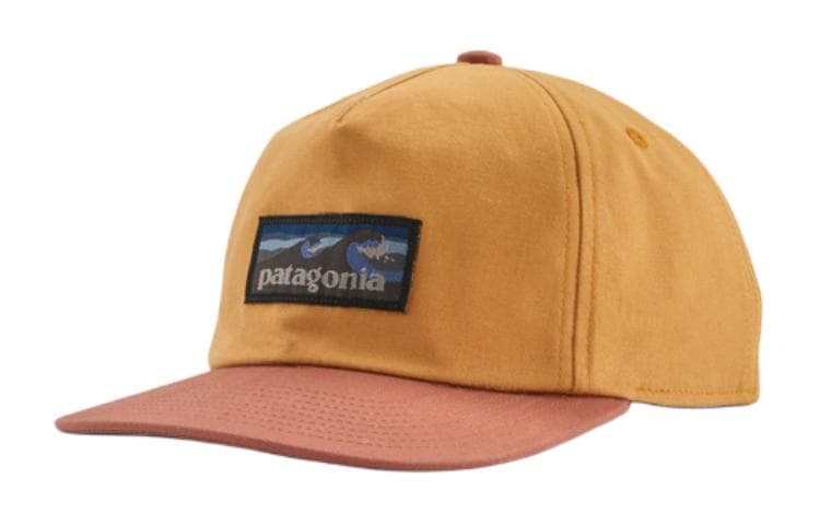 Patagonia Baseball Cap