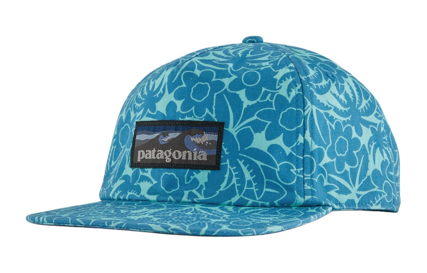 Patagonia Baseball Cap