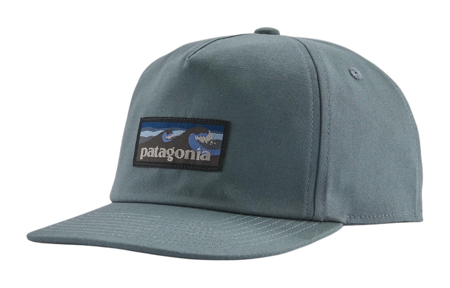 Patagonia Baseball Cap