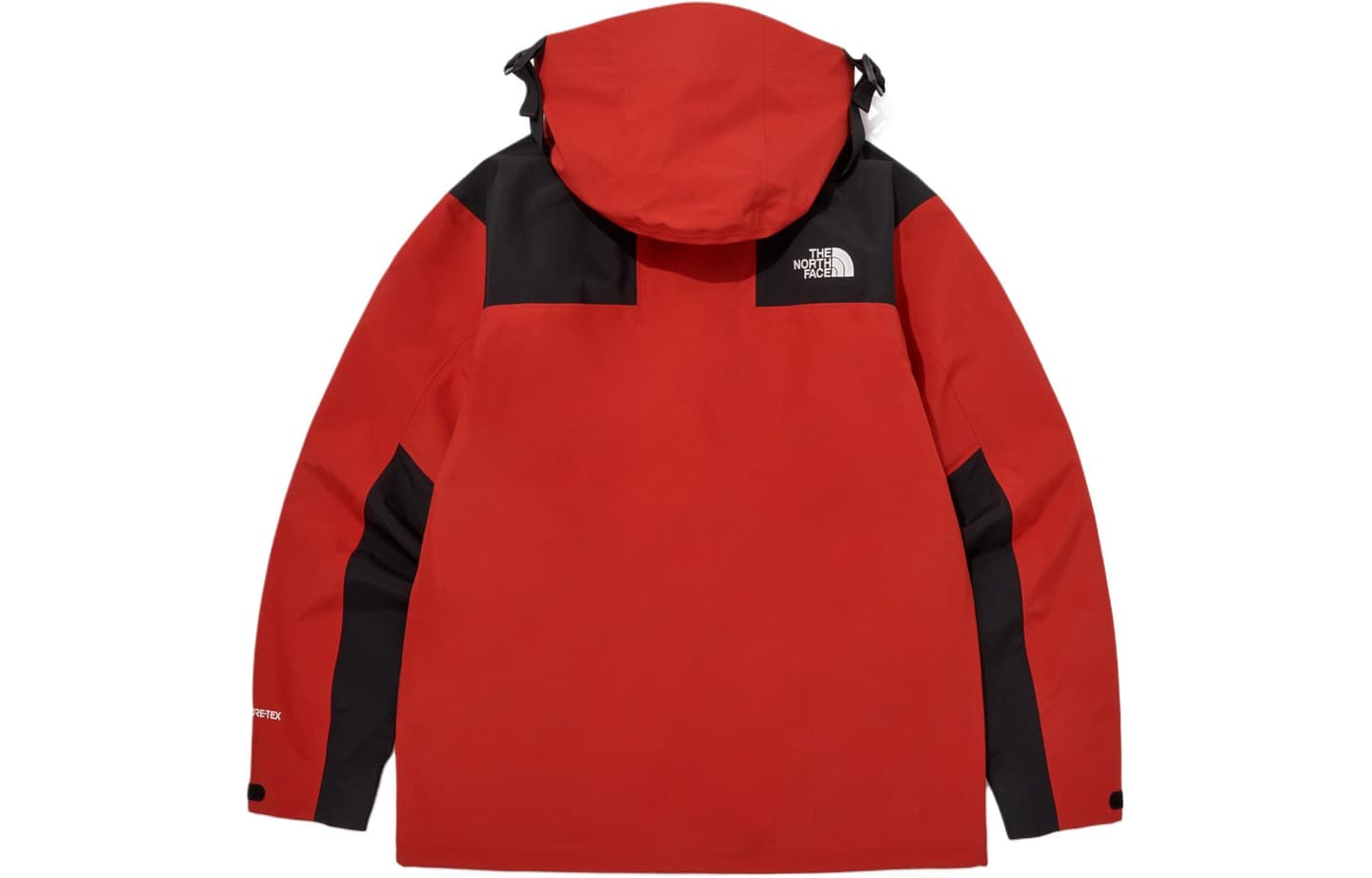 The North Face 1990 GTX L3 Jacket