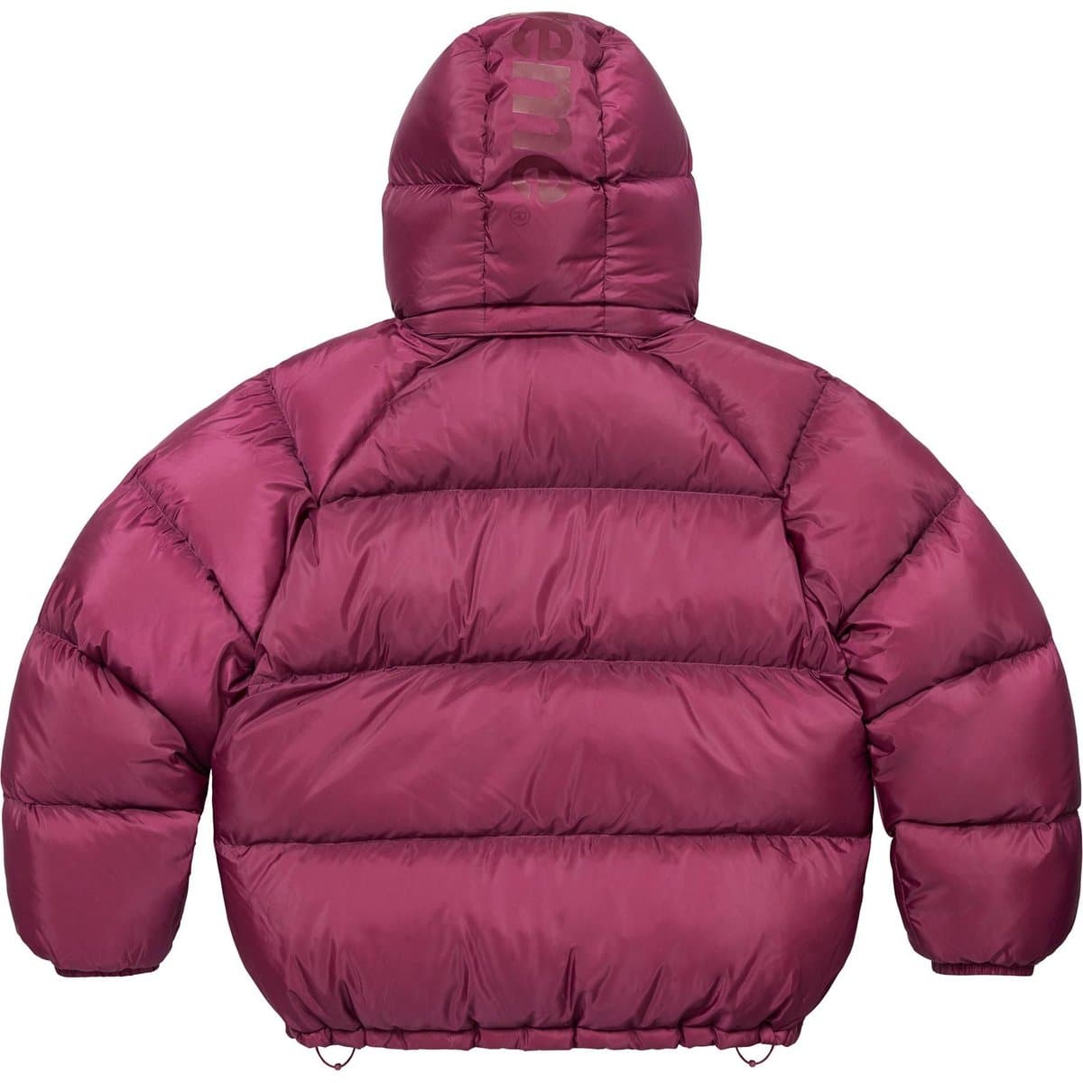 Supreme FW24 700-Fill Down Puffer Jacket