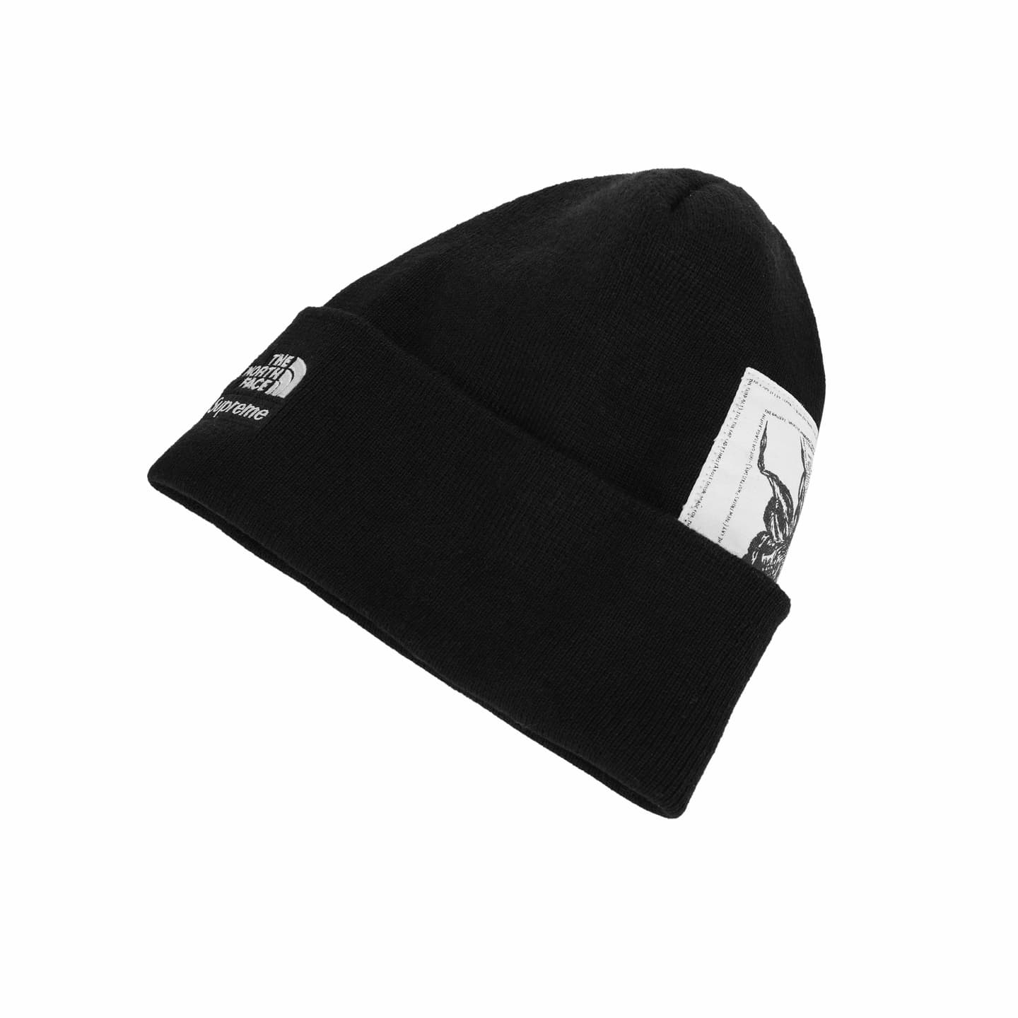Supreme x The North Face Beanie