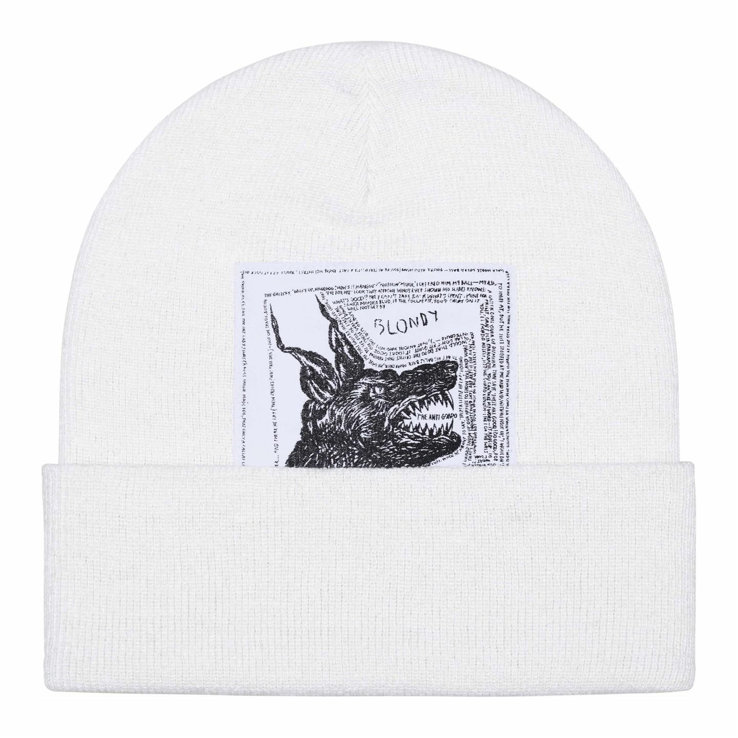 Supreme x The North Face Beanie