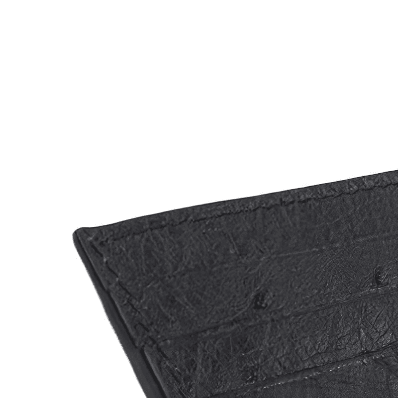 Bottega Veneta Intrecciato