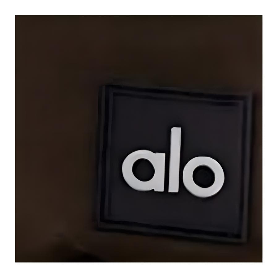 alo yoga Nylon Waist Bag Brown