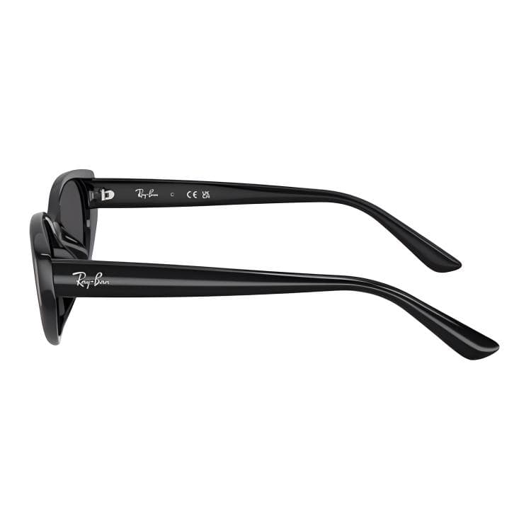 RayBan