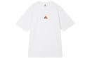 Nike ACG Logo Crewneck T-Shirt
