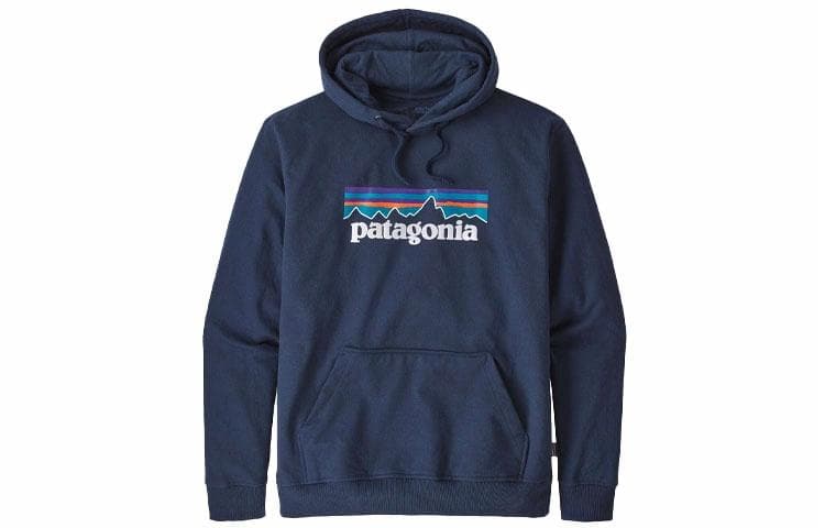 Patagonia Hoodie