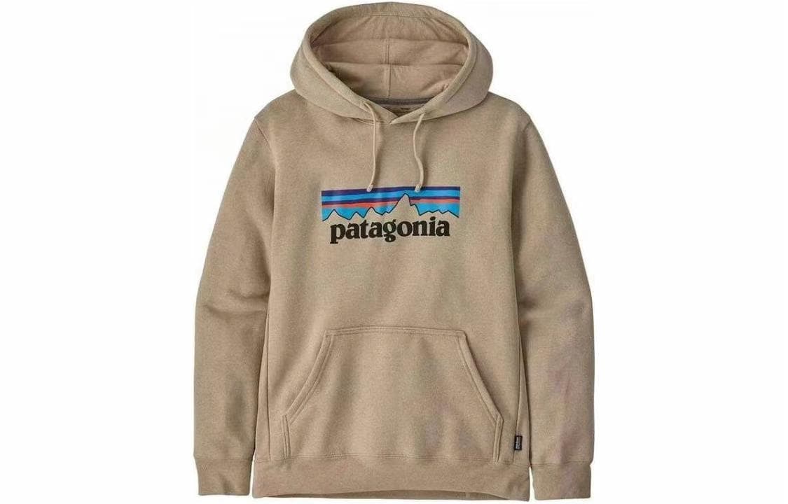 Patagonia Fitz Roy Logo Hoodie