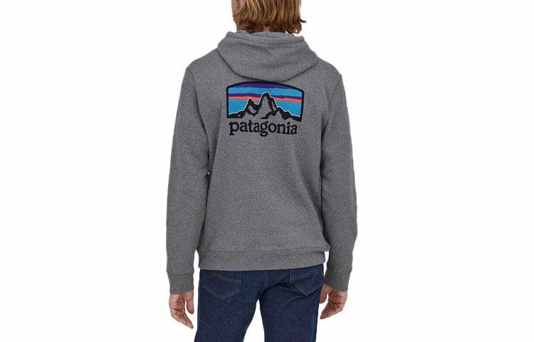 Patagonia Fitz Roy Logo Hoodie