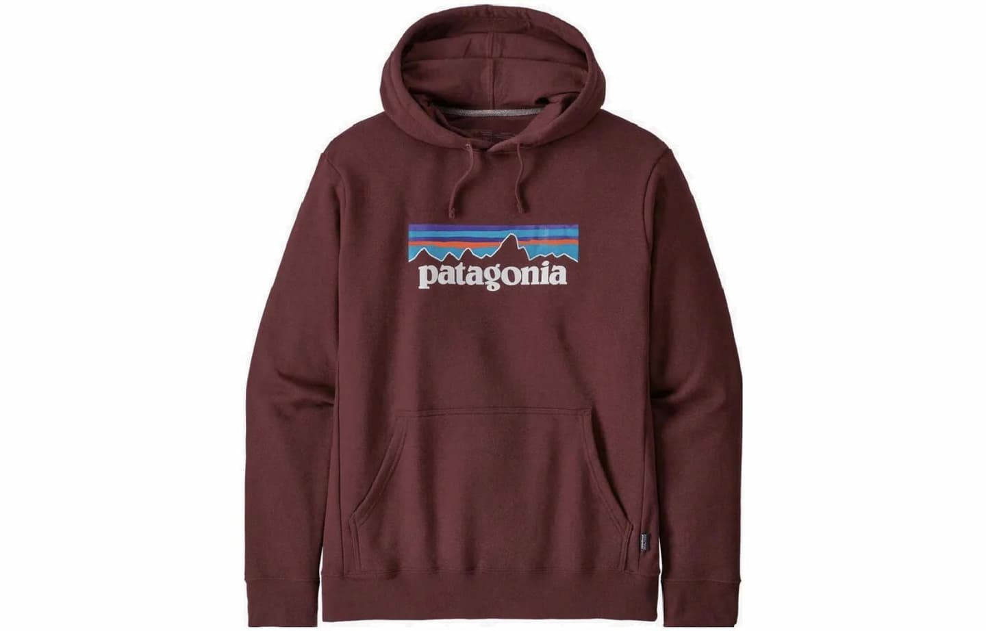 Patagonia Logo Hoodie
