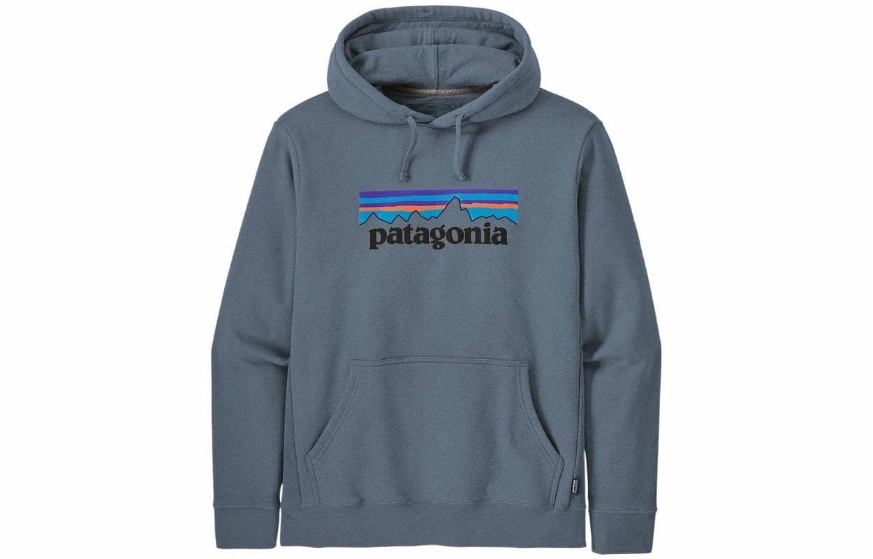 Patagonia Logo Hoodie