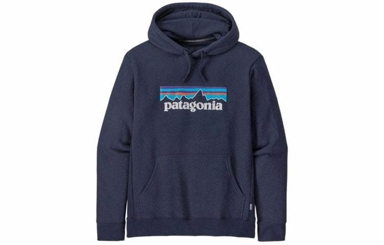 Patagonia Logo Hoodie