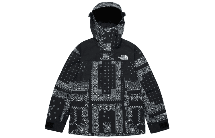 The North Face Novelty Gtx Mountain Jacket 1990 Black