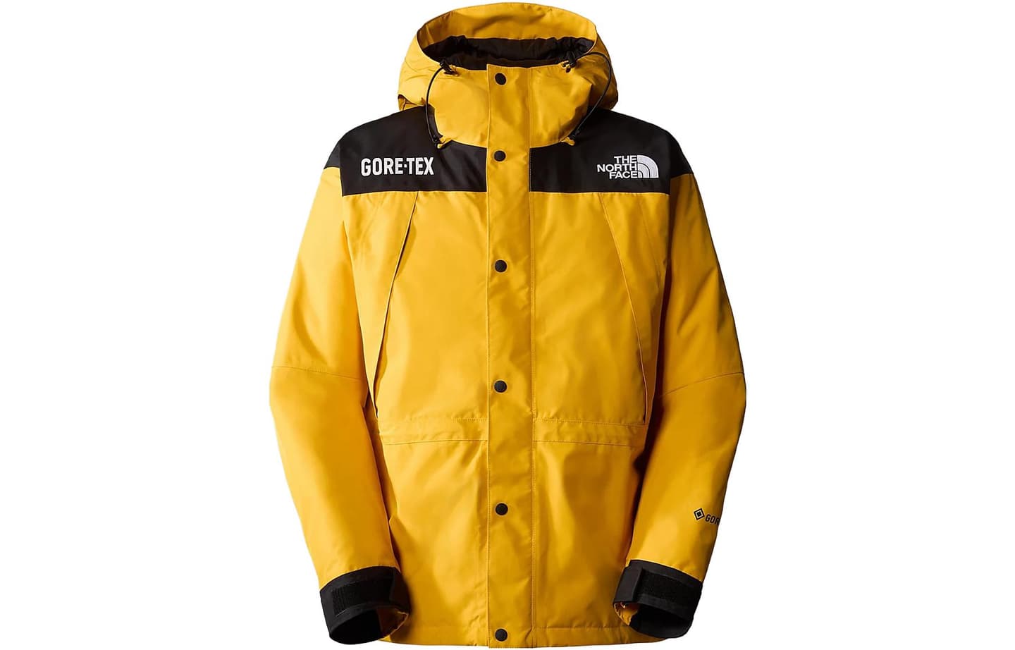 The North Face GTX Mountain Jacket