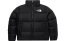 The North Face 1996 EcoNuptse Jacket