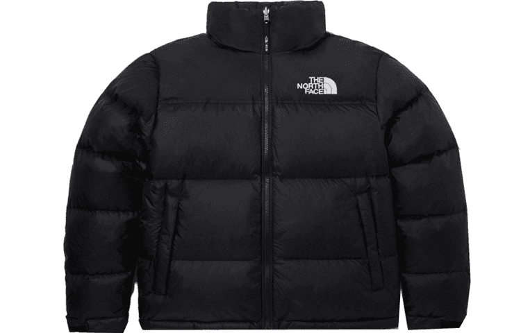 The North Face 1996 EcoNuptse Jacket