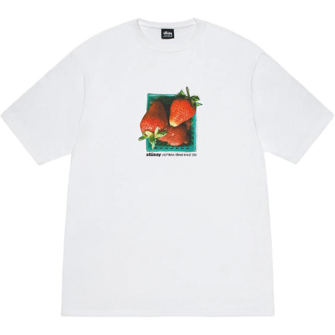 Stussy SS25 BERRIES TEE T