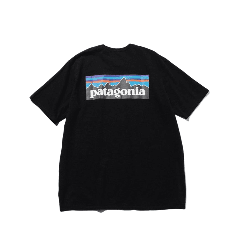 Patagonia