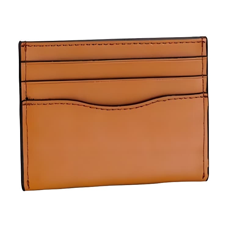 COACH COACHIES Card Case