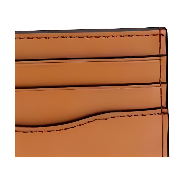 COACH COACHIES Card Case