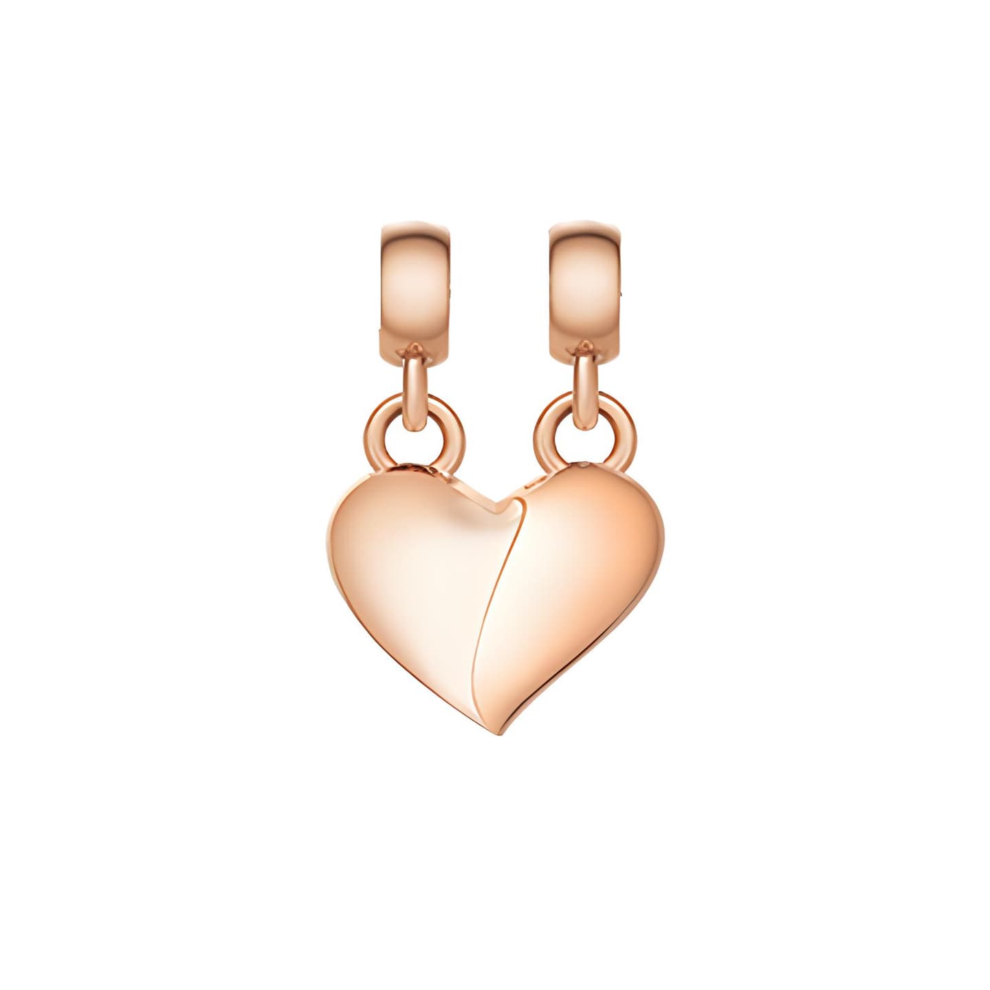 Daniel Wellington Charms Necklace