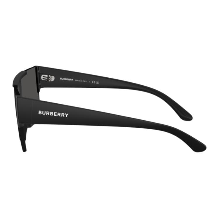 Burberry Aviator Sunglasses
