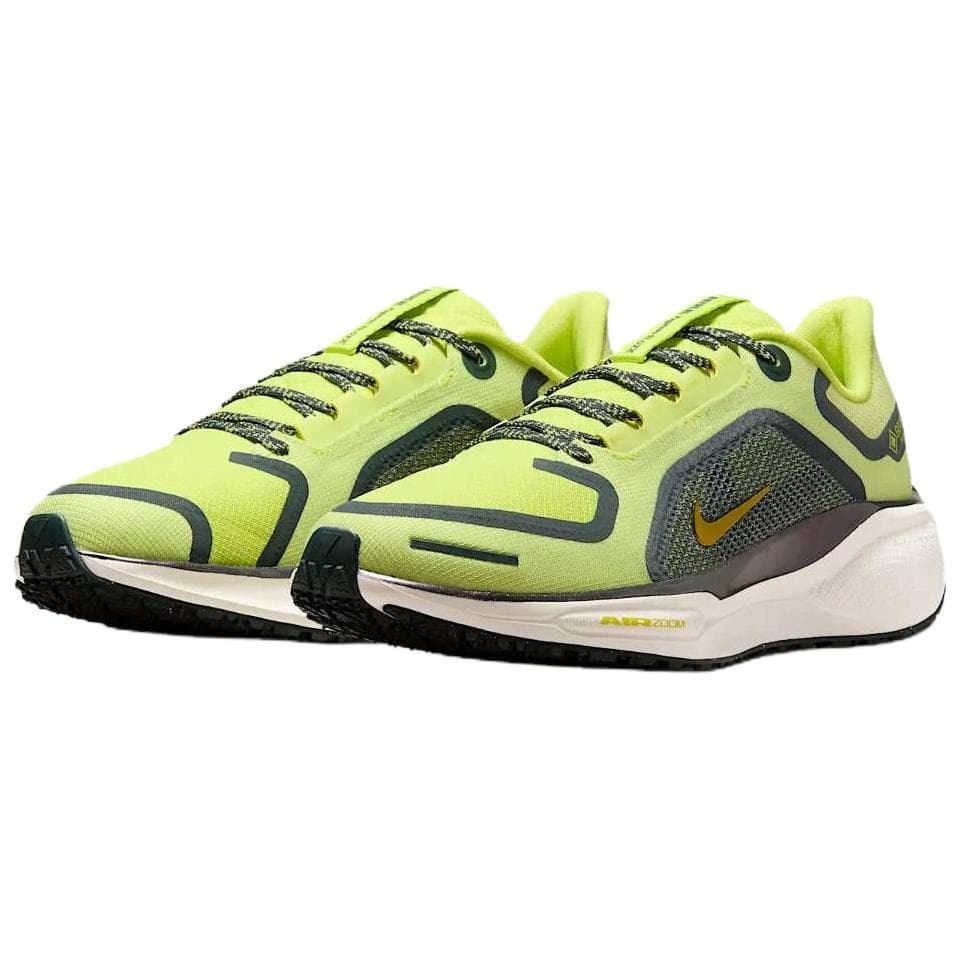 Nike Pegasus 41 GORE-TEX