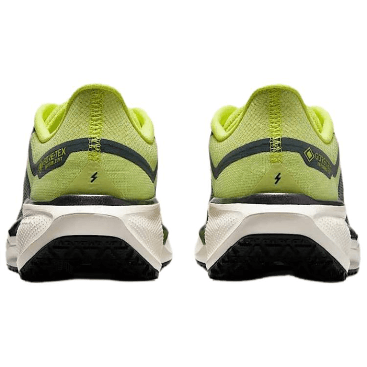 Nike Pegasus 41 GORE-TEX